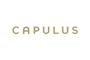 Capulus